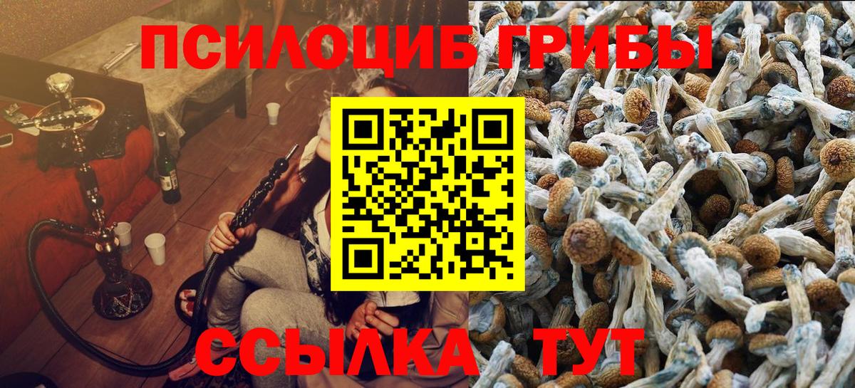Псилоцибиновые грибы Magic Shrooms Сосновый Бор