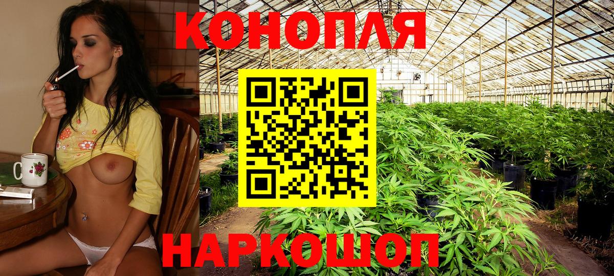 Канабис Bruce Banner  Вход с VPN  Бошки марихуана SATIVA & INDICA  Сосновый Бор 